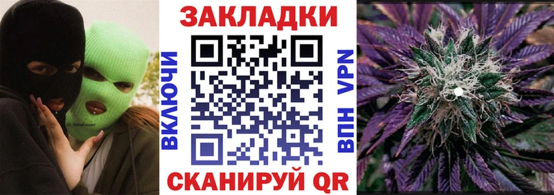 Какие есть наркотики Волхов APVP  Кетамин  ГАШИШ  OMG ССЫЛКА  Cocaine  Марихуана 