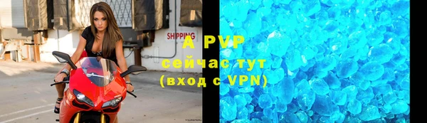 индика Волосово