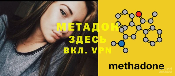 индика Волосово