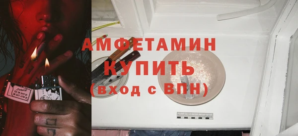 индика Волосово