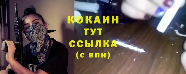 индика Волосово