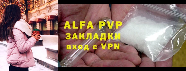 индика Волосово