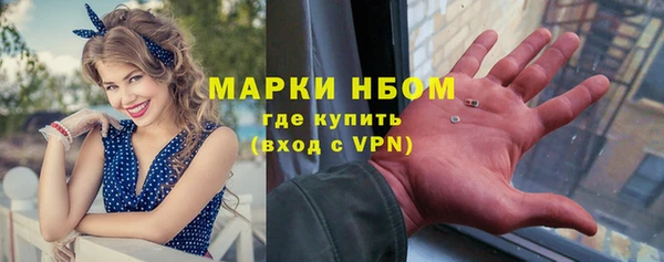 индика Волосово