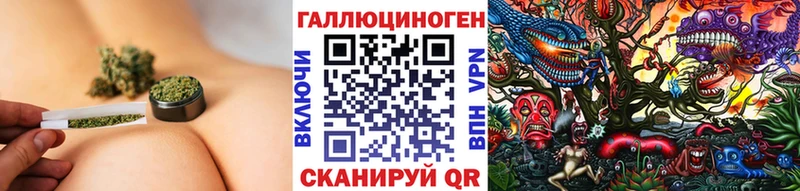 закладка  Волхов  Псилоцибиновые грибы прущие грибы 